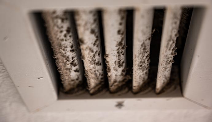 Black mold on ceiling air vent