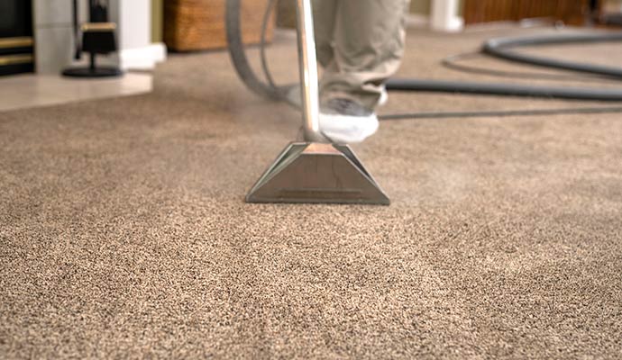 Carpet stain removal service