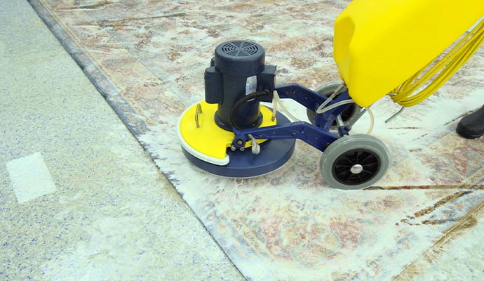 Professional area rug cleaning using machine