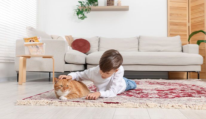 Clean area rug with pet and child