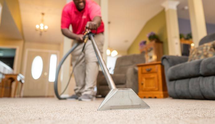 Professional carpet cleaning