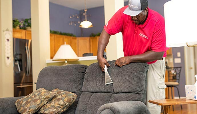 Professional upholstery cleaning service